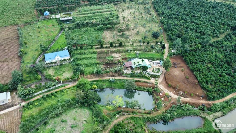 Đất Xã Đạm Bri-Thành Phố Bảo Lộc-Lâm Đồng