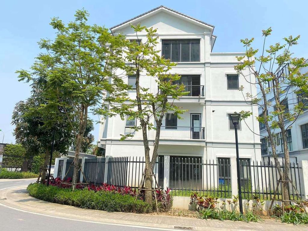4403447 ảnh đại diện 1