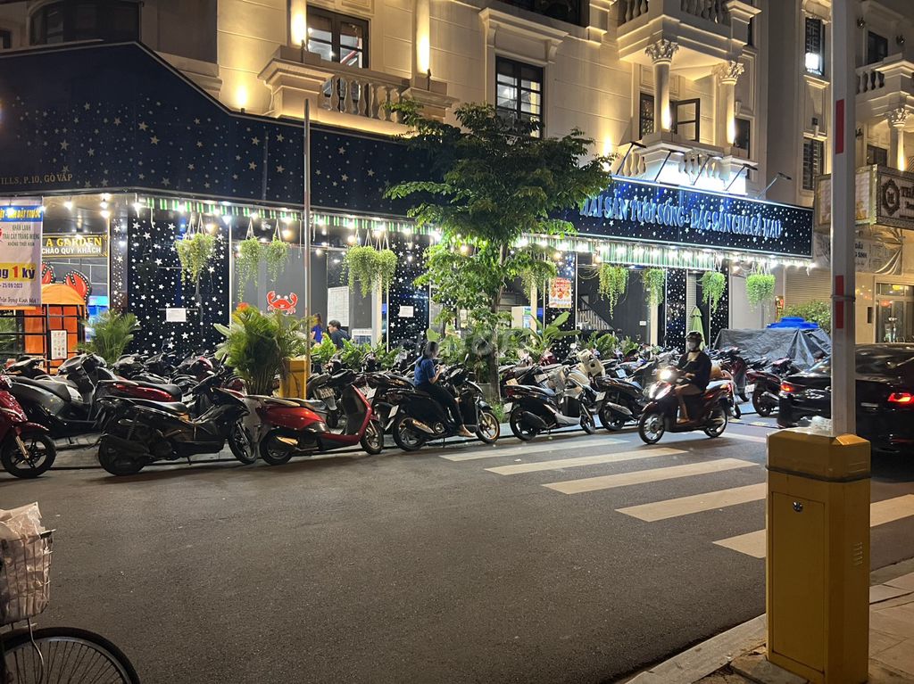 4411454 ảnh đại diện 1