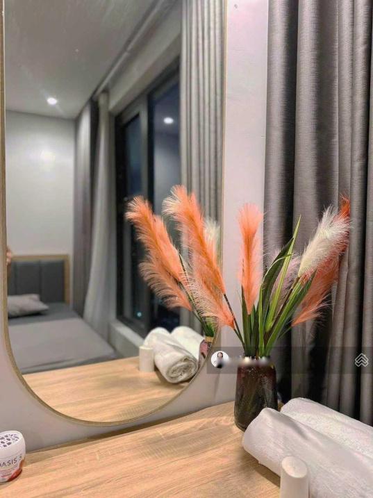 4428736 ảnh đại diện 1