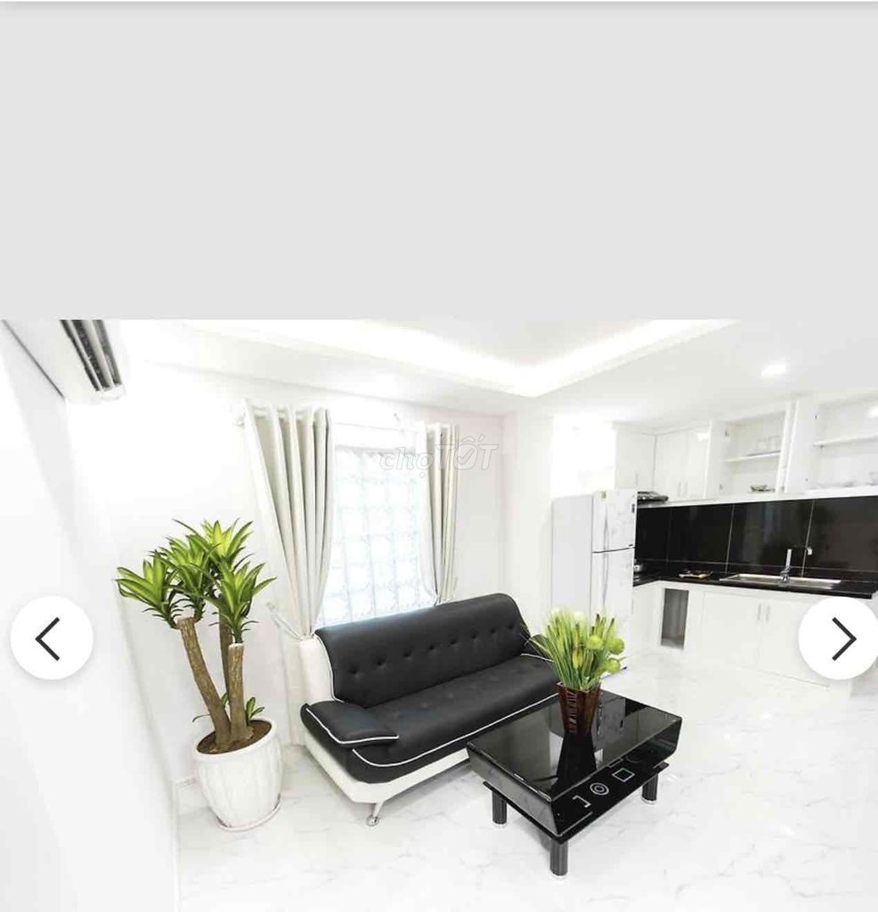 4424788 ảnh đại diện 1