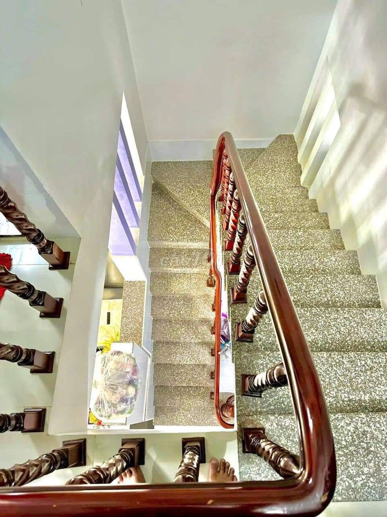 4421358 ảnh đại diện 2