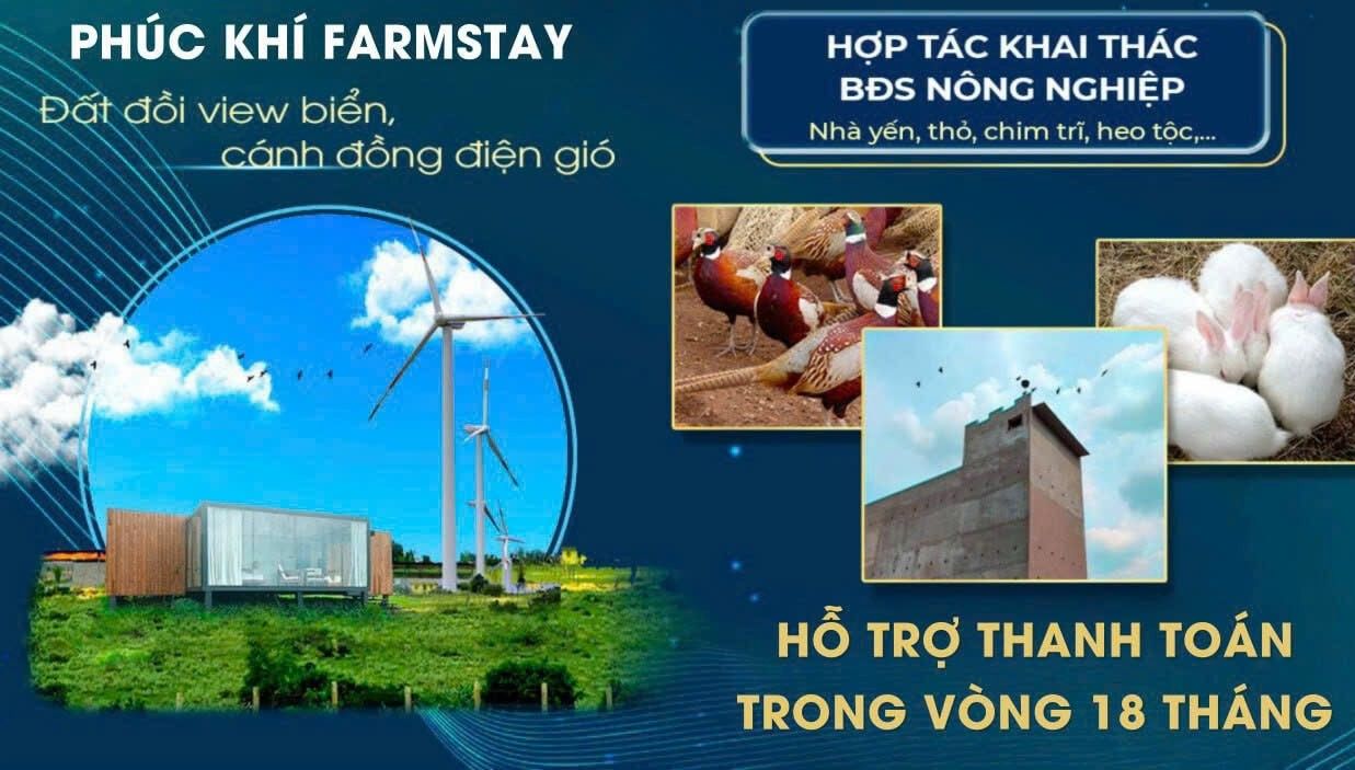 Bán Lô 5100M2 Phúc Khí Farmstay Sổ Hồng Riêng View Biển Tuy Phong, Bình Thuận Chỉ 390K/M2