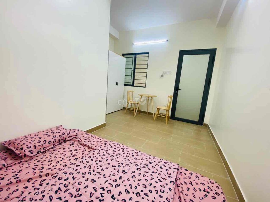 4436519 ảnh đại diện 1