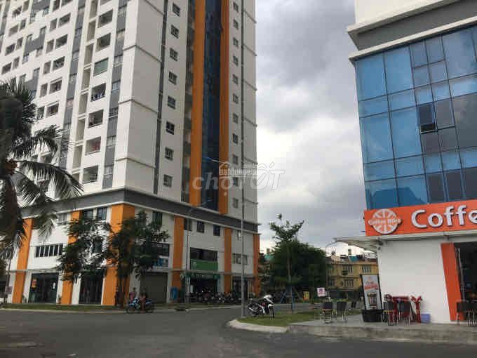 4451741 ảnh đại diện 1