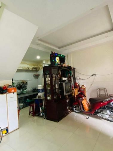 4450041 ảnh đại diện 1