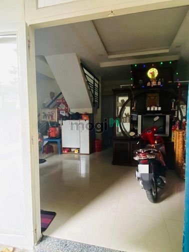 4450041 ảnh đại diện 1