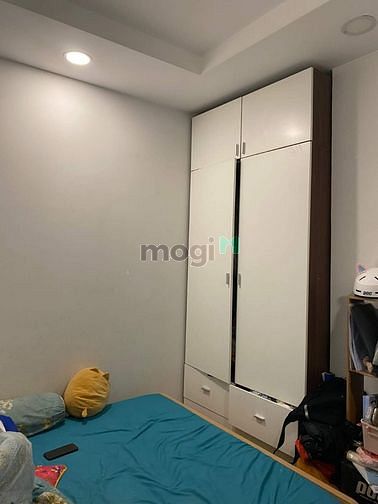 4455276 ảnh đại diện 1
