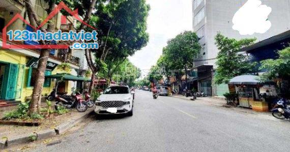 4465558 ảnh đại diện 1