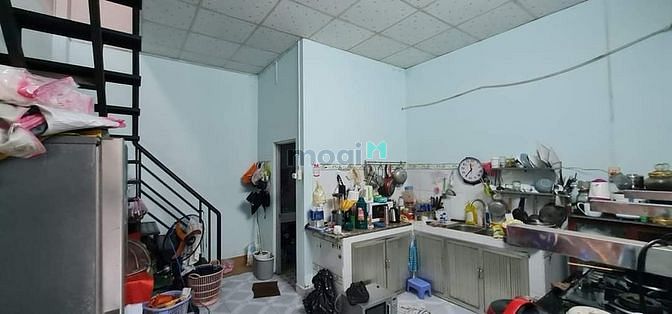 4465310 ảnh đại diện 1