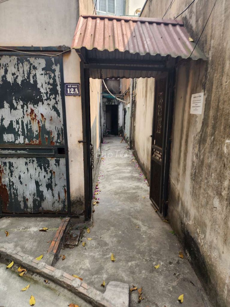 4465689 ảnh đại diện 1