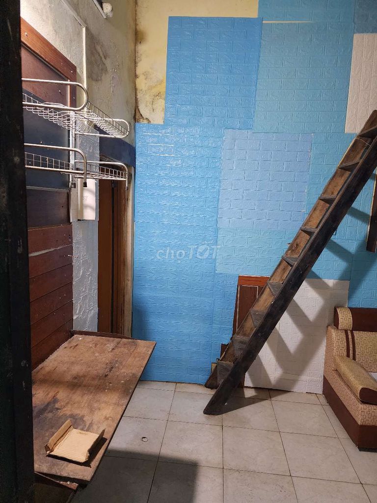 4465689 ảnh đại diện 2