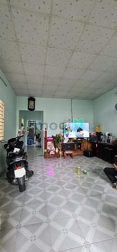 4465310 ảnh đại diện 2