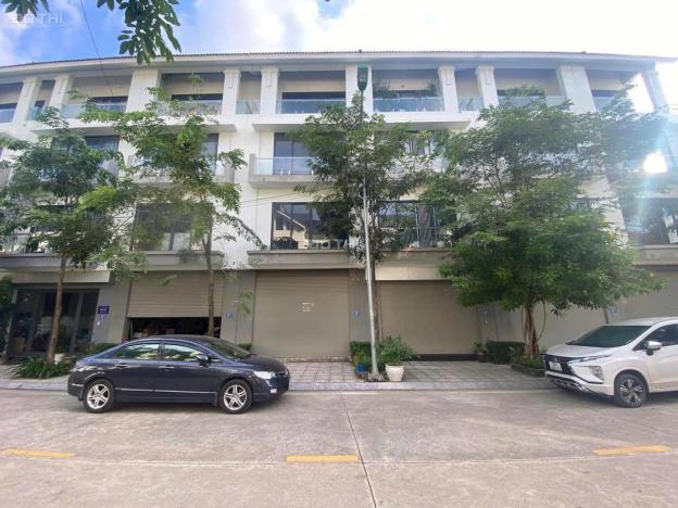 4467050 ảnh đại diện 2