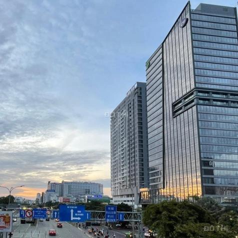 4487945 ảnh đại diện 2