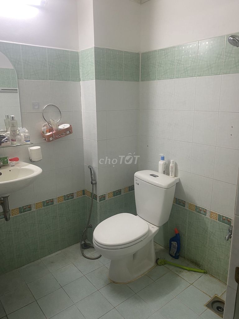 4486676 ảnh đại diện 2