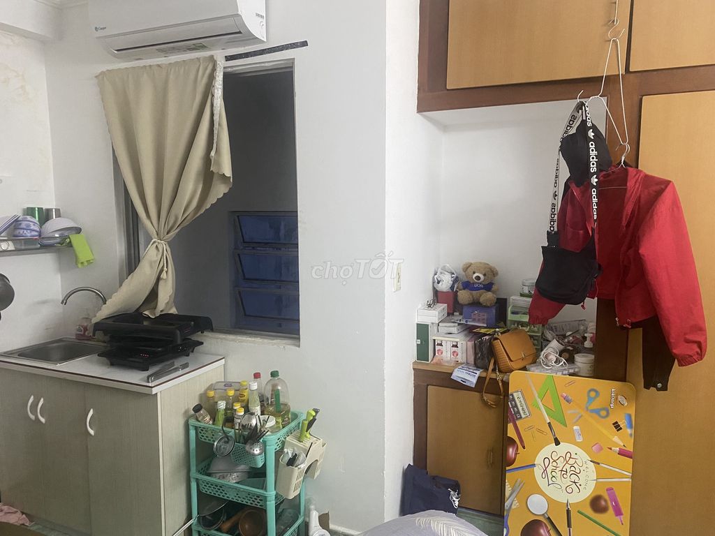 4486676 ảnh đại diện 1