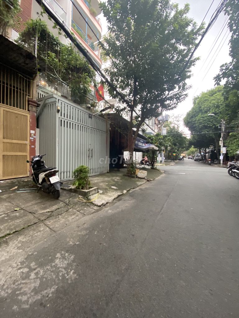 4483684 ảnh đại diện 1