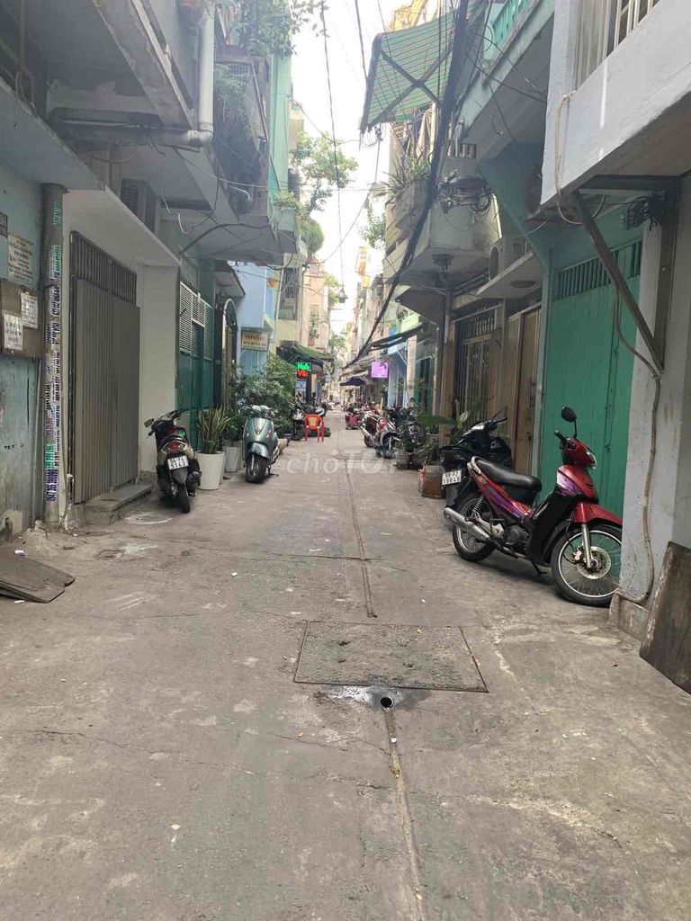 4492897 ảnh đại diện 2