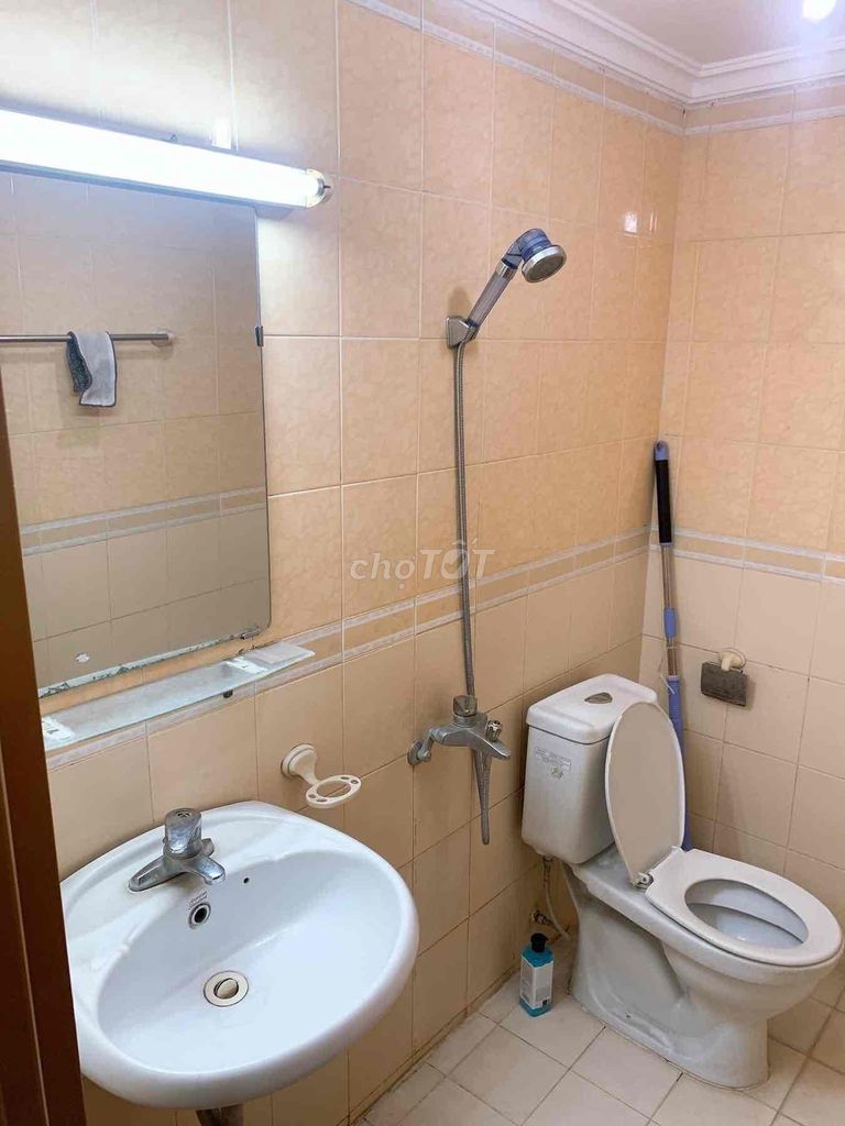 4495765 ảnh đại diện 1