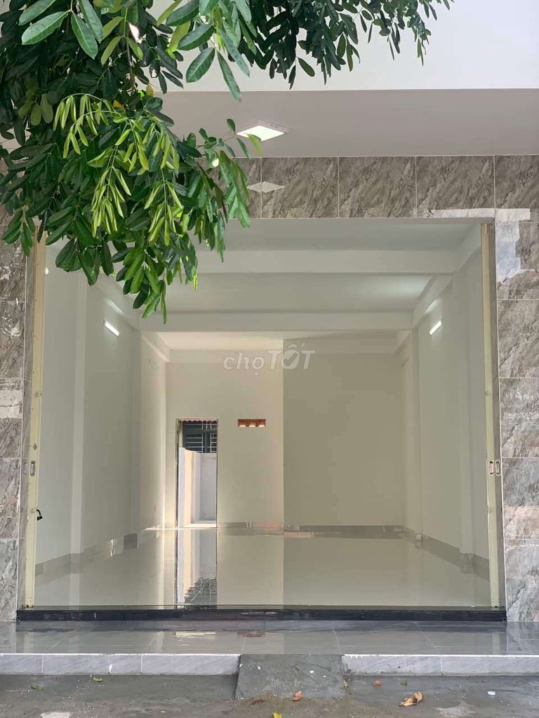 4495246 ảnh đại diện 2