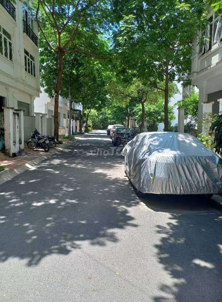 4504726 ảnh đại diện 1