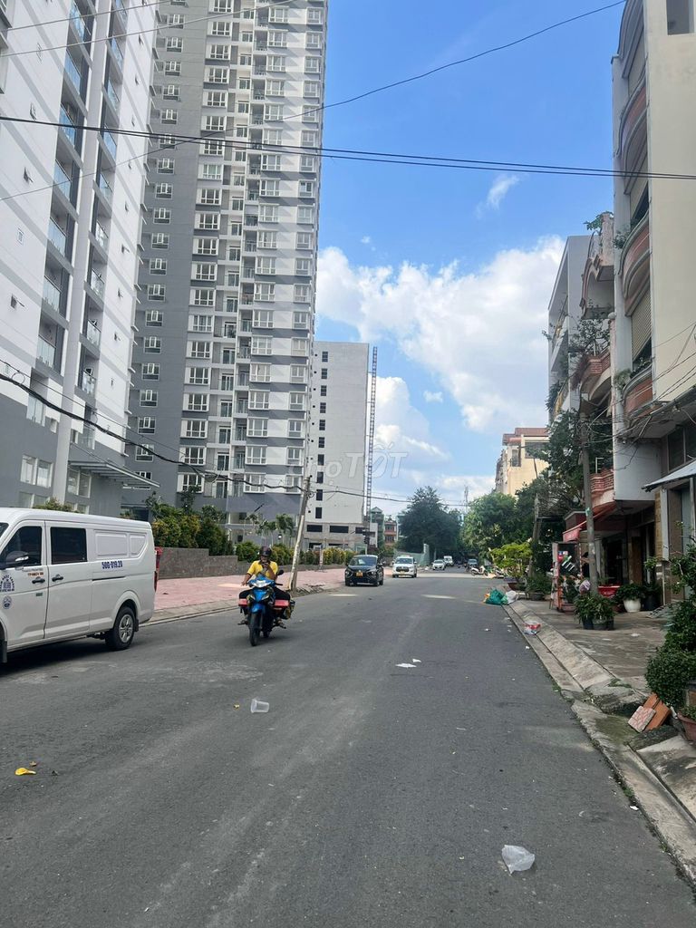 4513561 ảnh đại diện 2