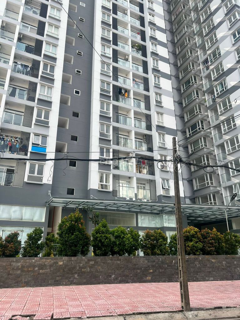 4513561 ảnh đại diện 1