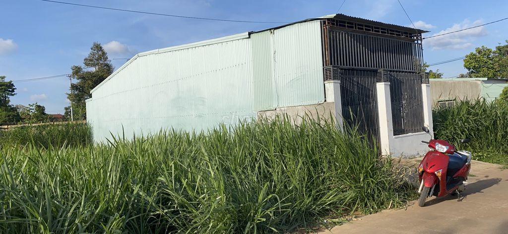 4524332 ảnh đại diện 1