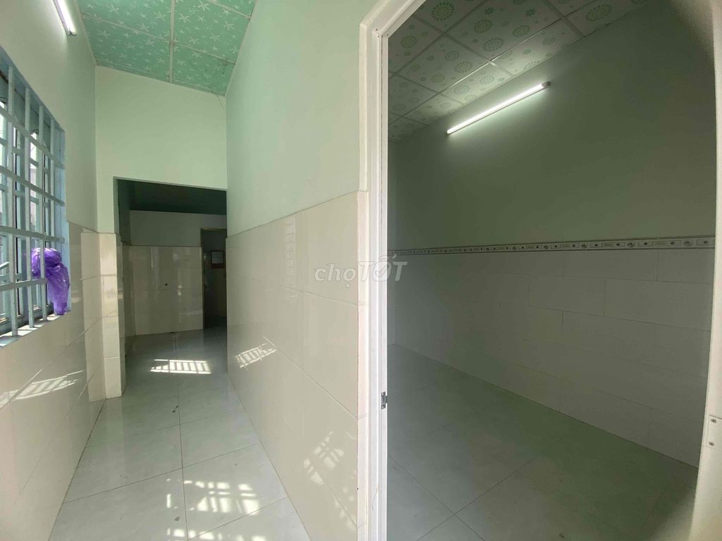 4519157 ảnh đại diện 1