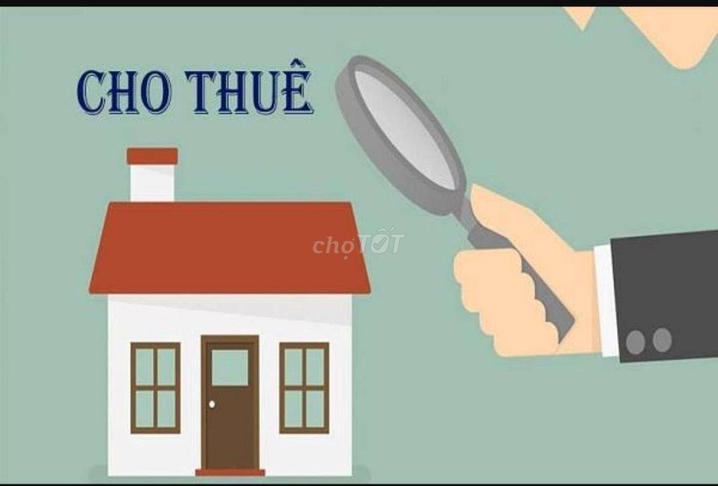 4521381 ảnh đại diện 1