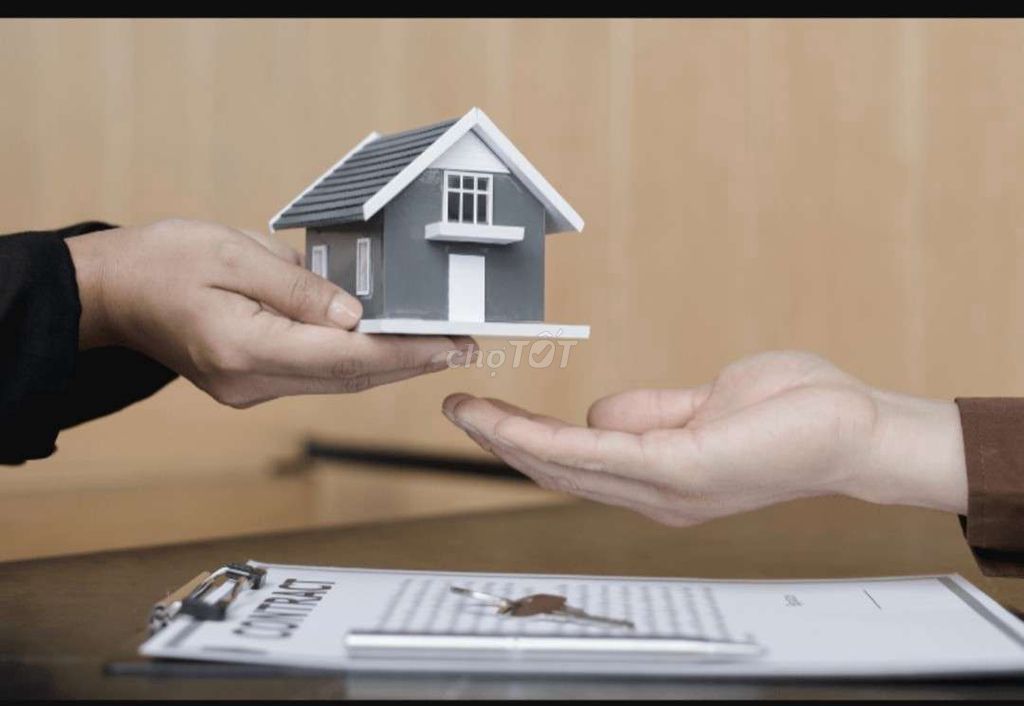 4521381 ảnh đại diện 1