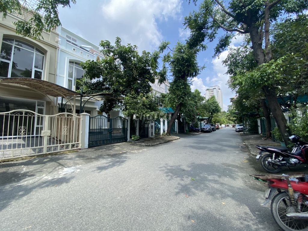4529873 ảnh đại diện 1