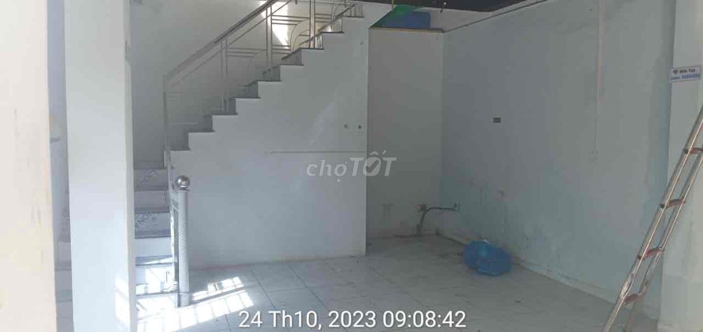 4532134 ảnh đại diện 1