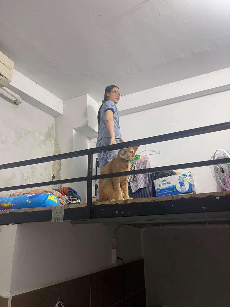 4532775 ảnh đại diện 2