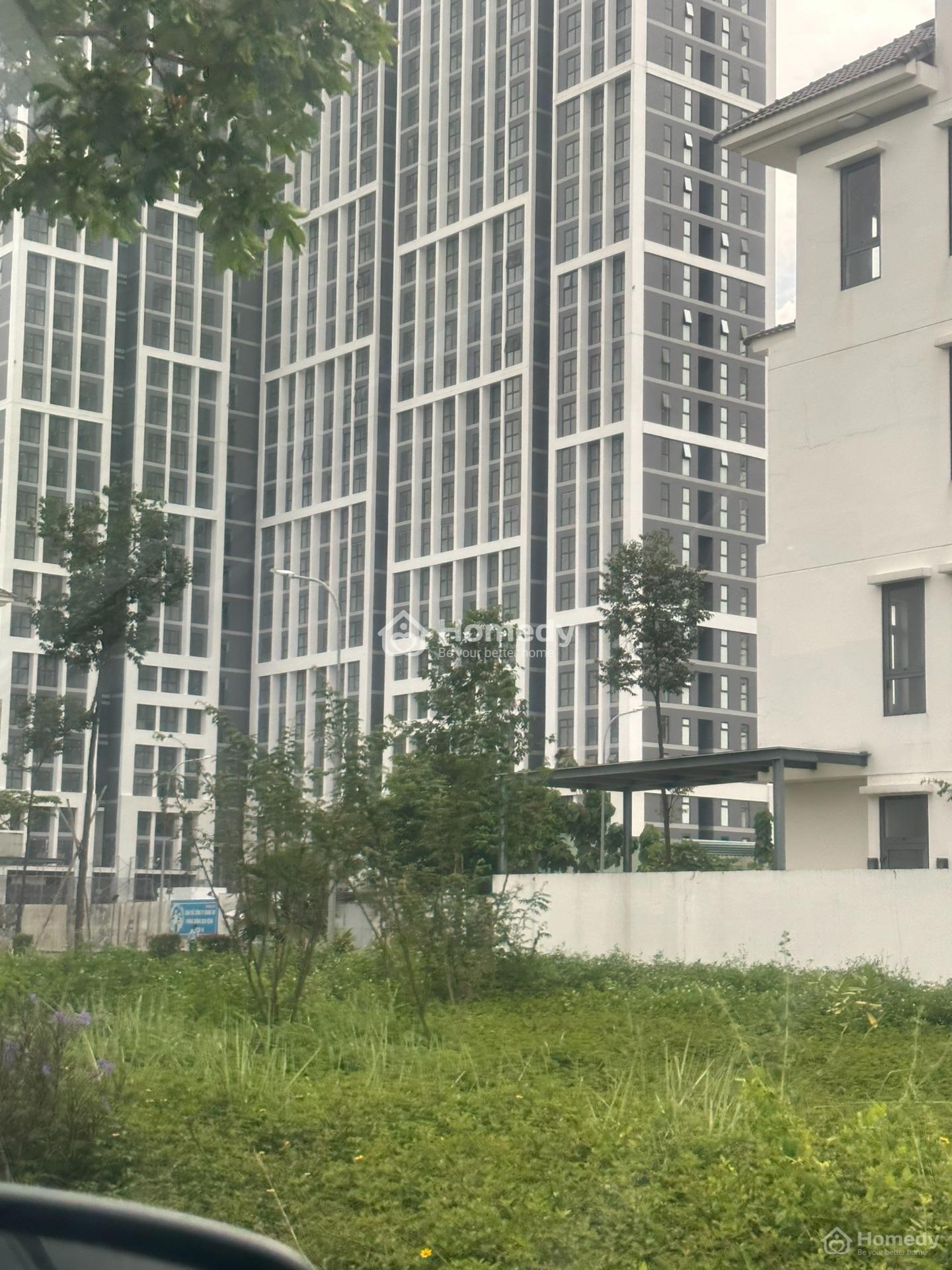 4530176 ảnh đại diện 2