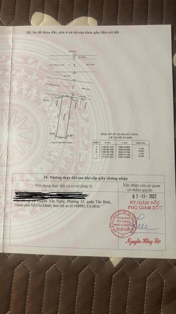 4529430 ảnh đại diện 2