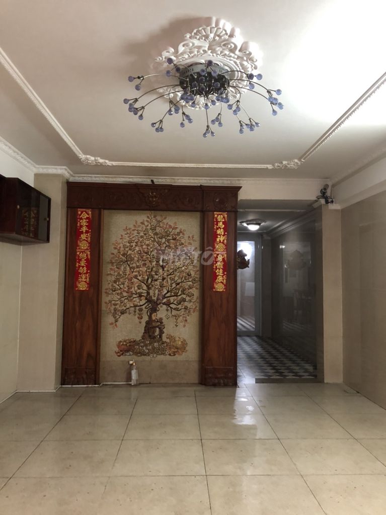 4530852 ảnh đại diện 1