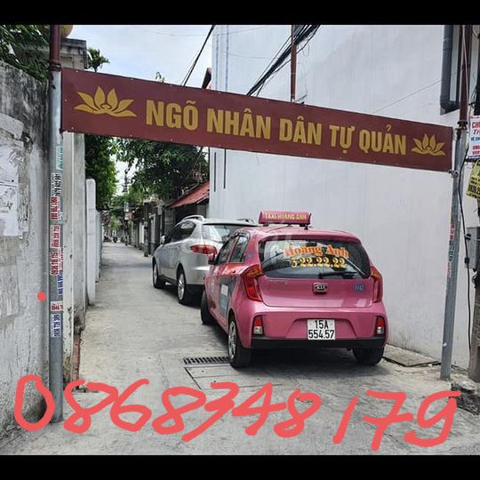 4532841 ảnh đại diện 2