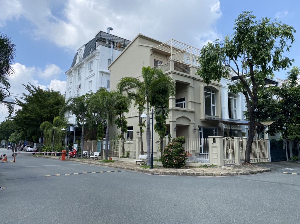 4529873 ảnh đại diện 1