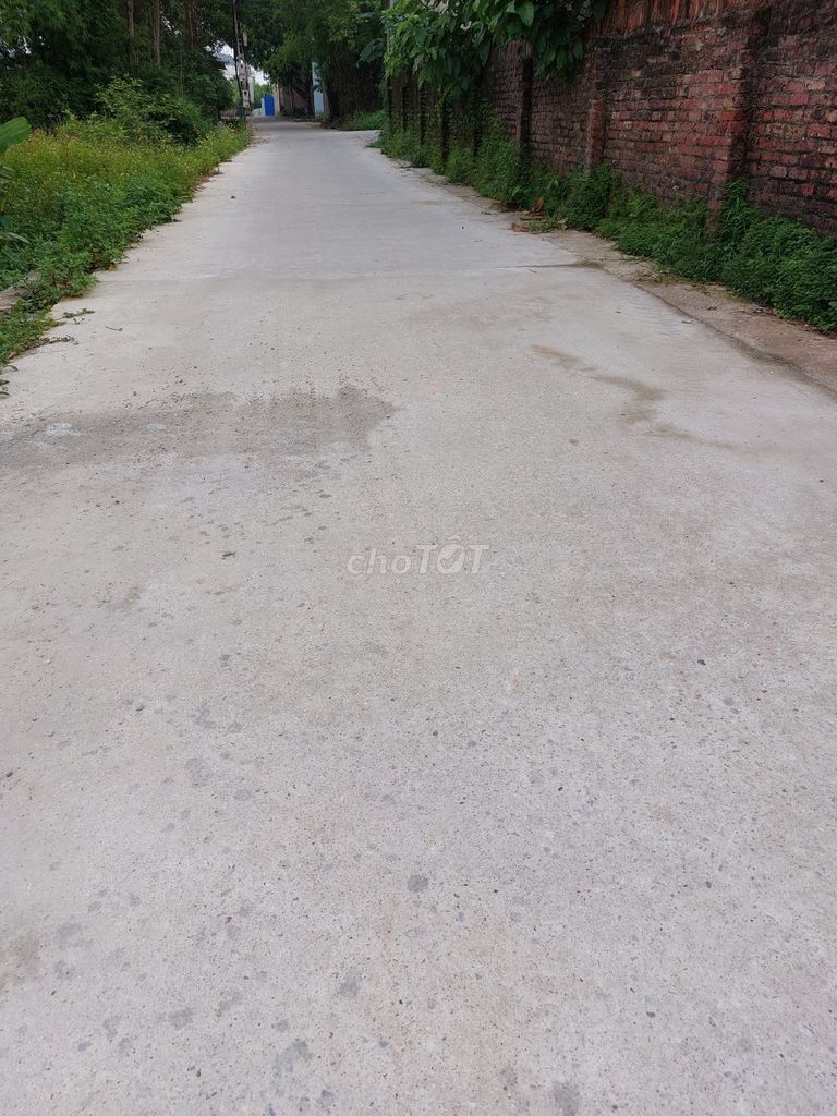 4532722 ảnh đại diện 2