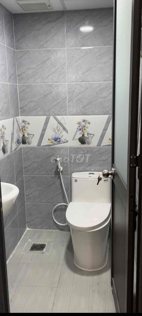 4532263 ảnh đại diện 2