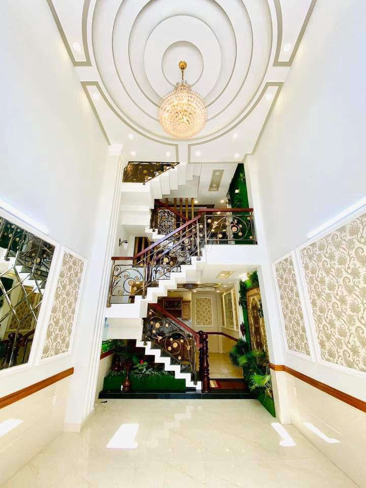4531132 ảnh đại diện 2