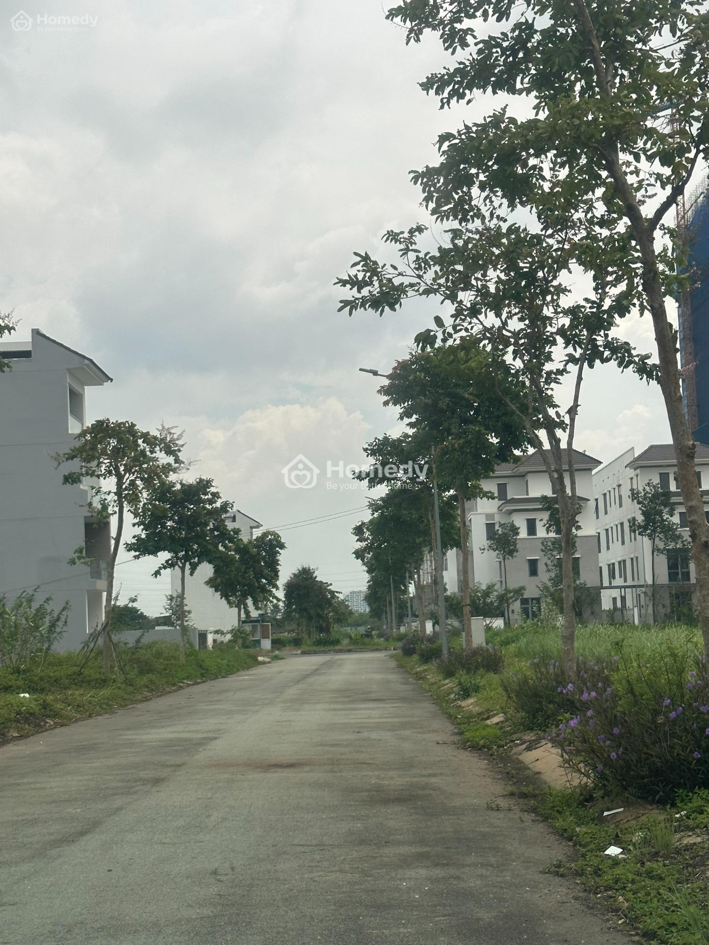 4530176 ảnh đại diện 1