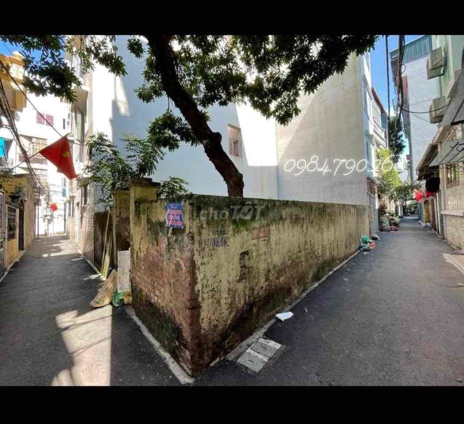4529738 ảnh đại diện 2