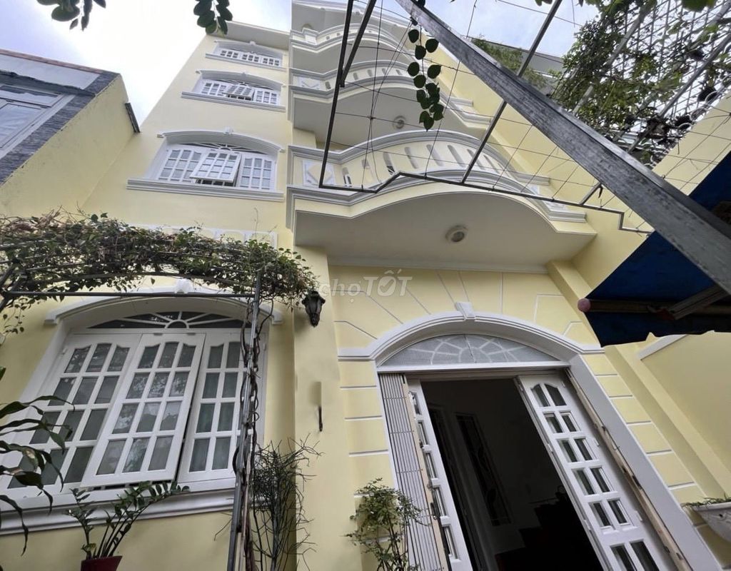 4528687 ảnh đại diện 1
