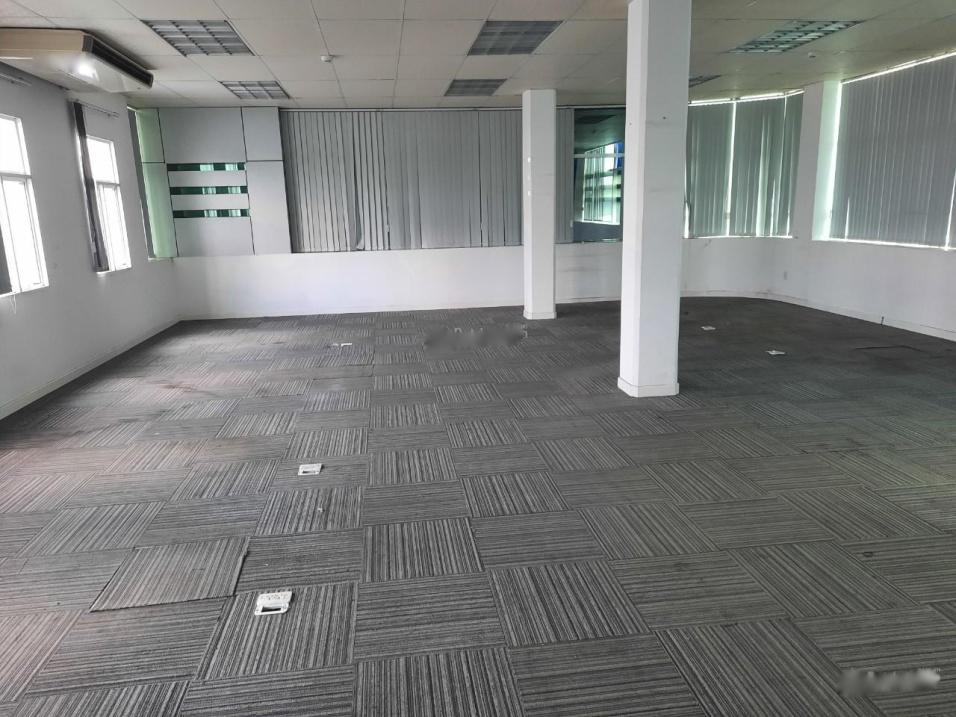 4528442 ảnh đại diện 1