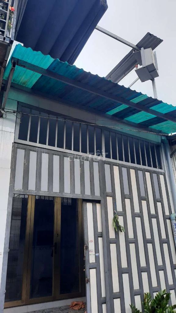 4526218 ảnh đại diện 1