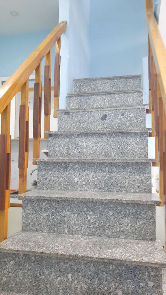 4526227 ảnh đại diện 2