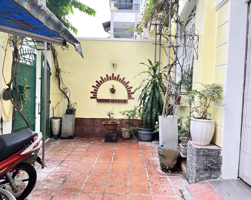 4528687 ảnh đại diện 1